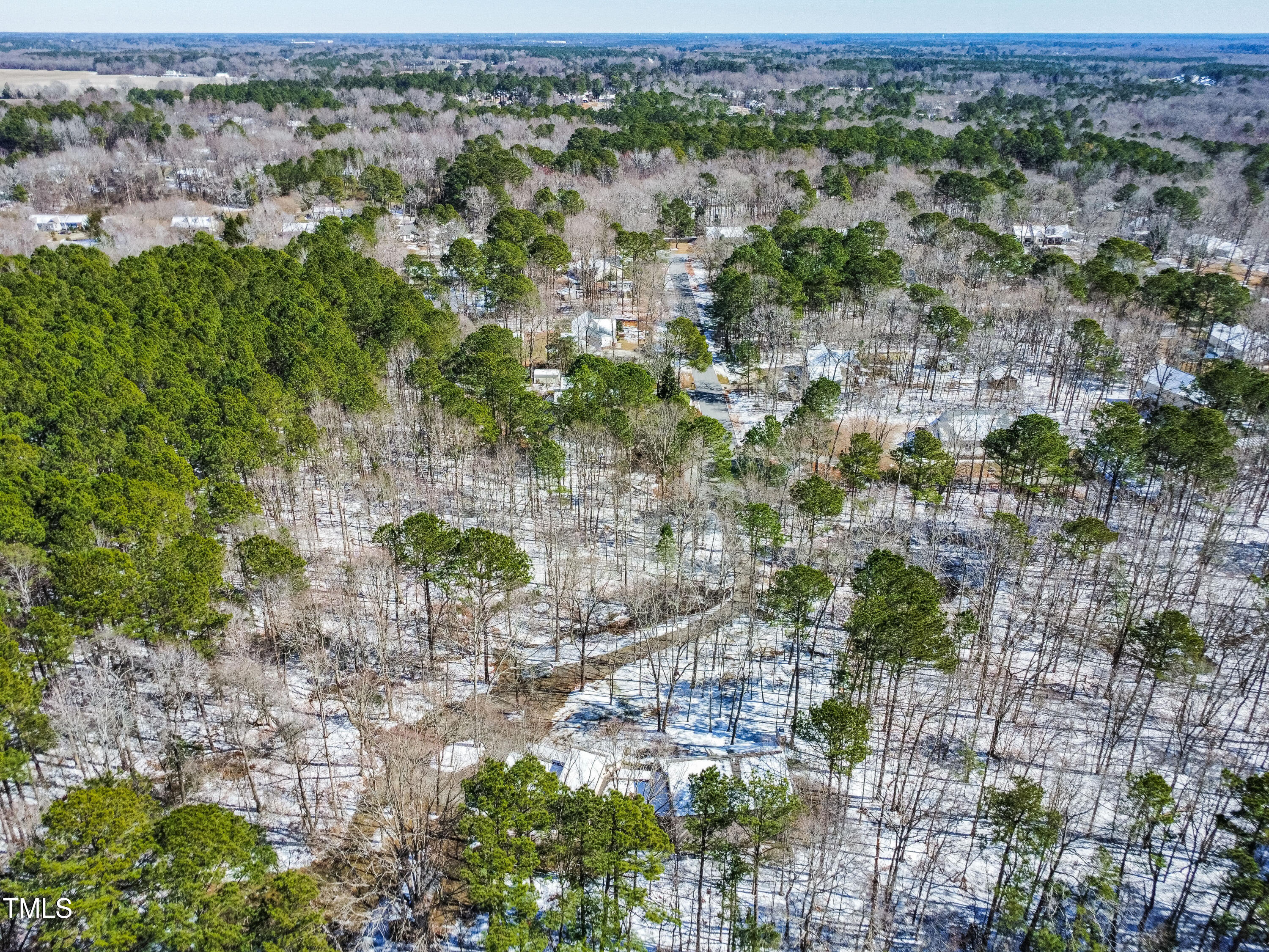 316 Russ Road Smithfield, NC 27577 - Photo 49 of 50 Drone View