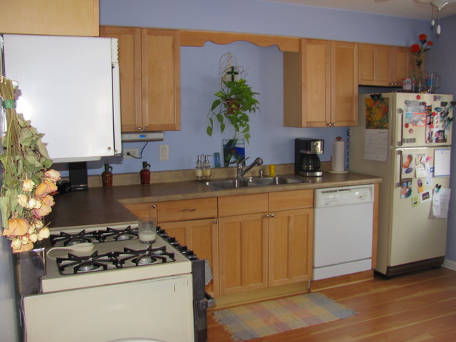 8804 45th Place, Unit 2 Brookfield, IL 60513 - Photo 4 of 6