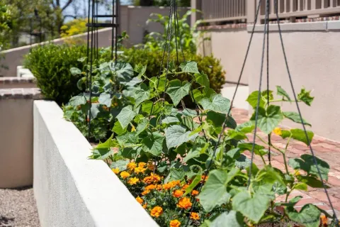 $5,100,000 | 3929 Alameda, San Diego, CA 92103