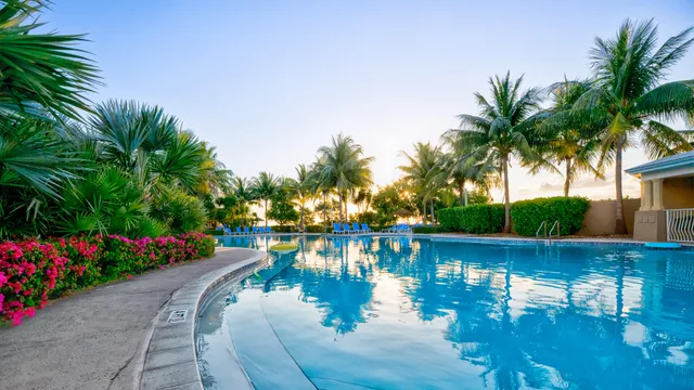 a wooden deck with lake view and a garden