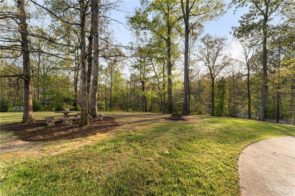 402 Hunters Court Ball Ground, GA 30107 - Photo 38 of 56 a view of a yard with trees