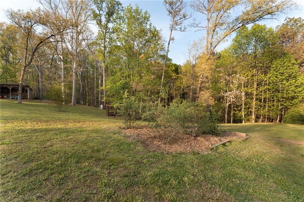 402 Hunters Court Ball Ground, GA 30107 - Photo 43 of 56 a view of a yard with trees in front of it