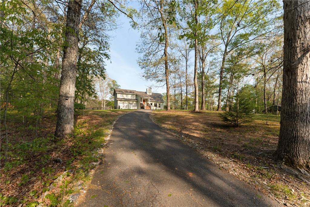 402 Hunters Court Ball Ground, GA 30107 - Photo 50 of 56 a view of road with trees