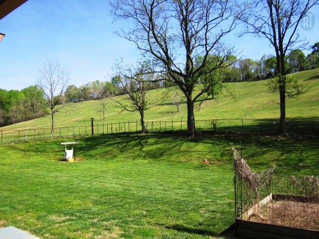 3060 Panhandle Road Wartrace, TN 37183 - Photo 18 of 20 beautiful view from back patio, surrounded by dairy farm