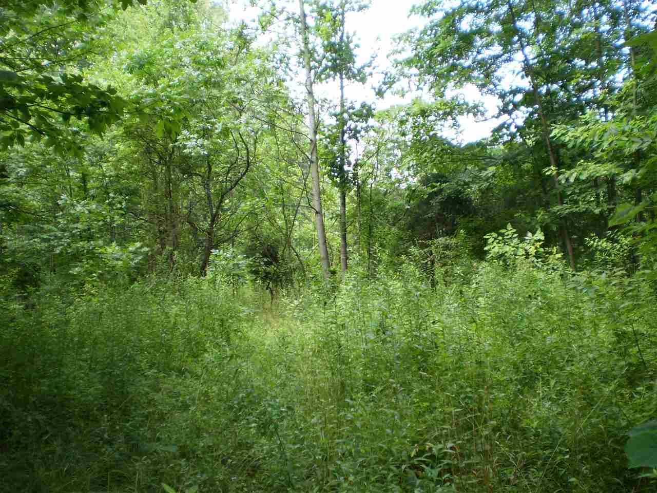 4205 North Baugh Road Bloomington, IN 47408 - Photo 14 of 24 Gallery Image 14