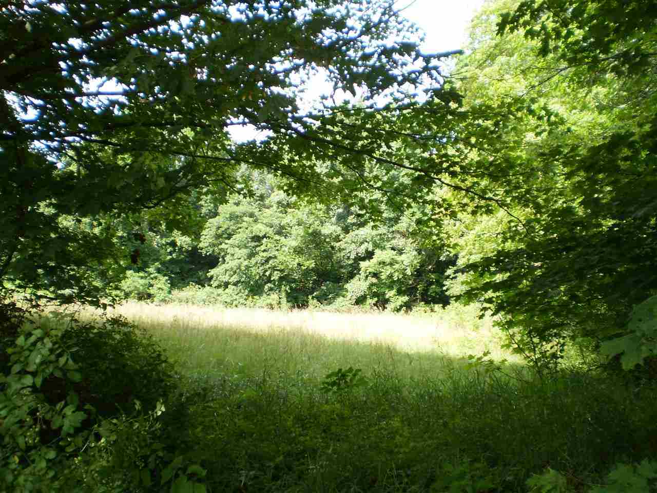4205 North Baugh Road Bloomington, IN 47408 - Photo 3 of 24 Gallery Image 3