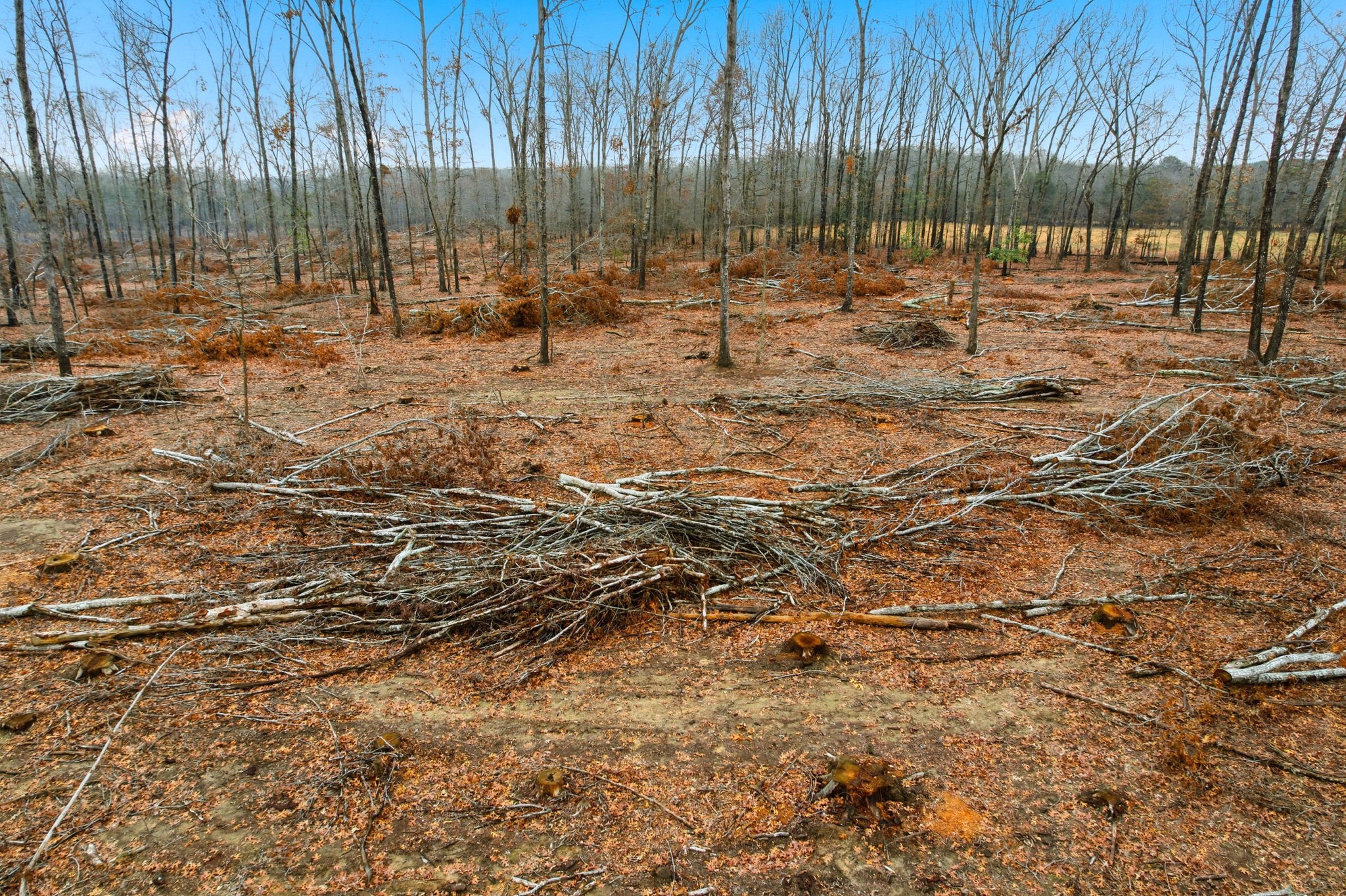 0 Whitaker Lane Belvidere, TN 37306 - Photo 11 of 34 a view of yard with green space