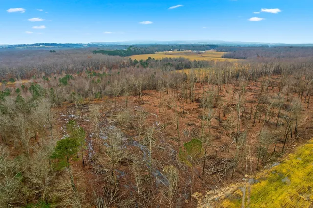 a view of a green field