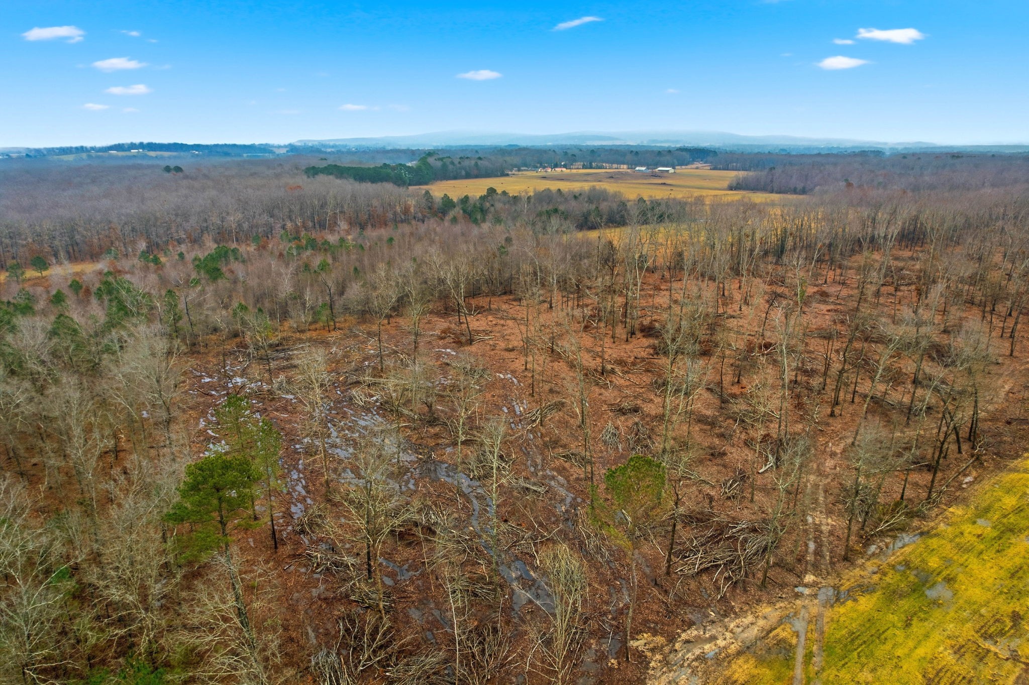 0 Whitaker Lane Belvidere, TN 37306 - Photo 14 of 34 a view of a green field