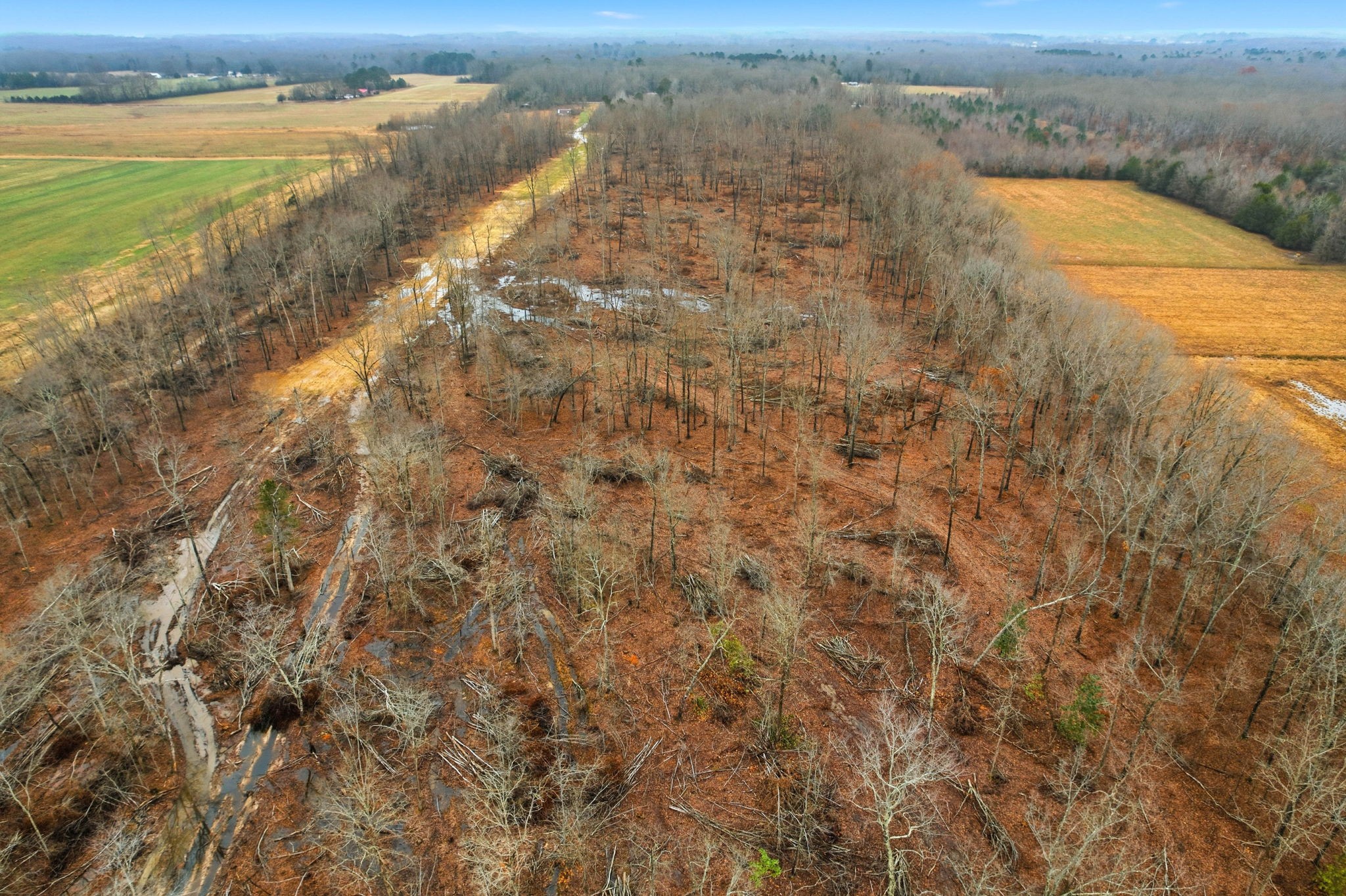 0 Whitaker Lane Belvidere, TN 37306 - Photo 16 of 34 a view of an ocean