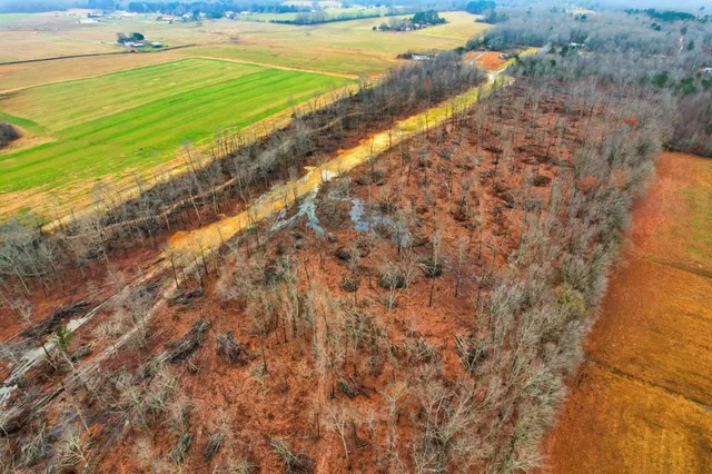 a view of a pool with a yard