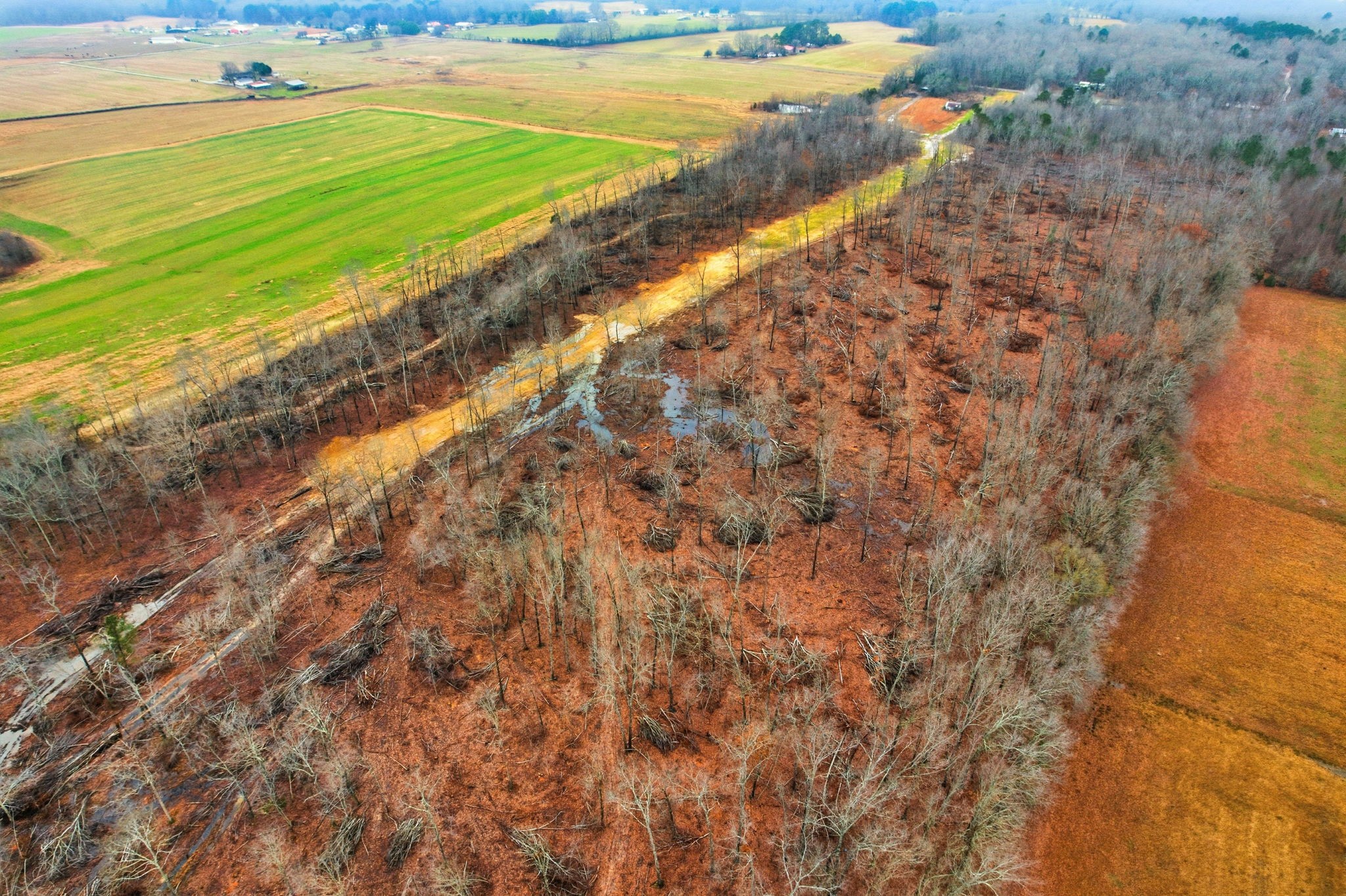 0 Whitaker Lane Belvidere, TN 37306 - Photo 18 of 34