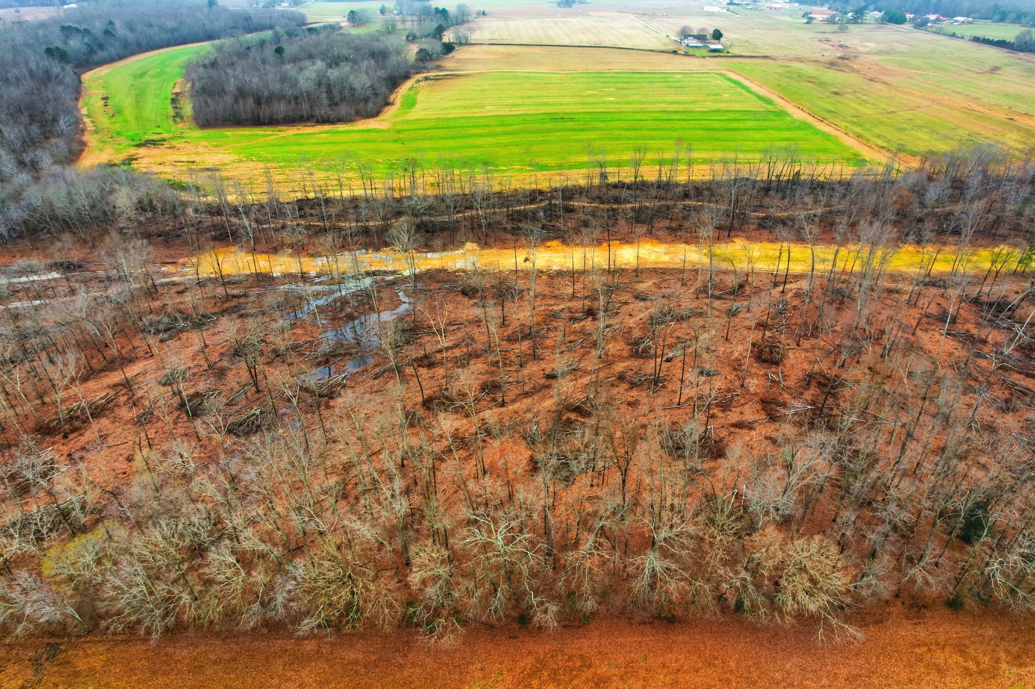 0 Whitaker Lane Belvidere, TN 37306 - Photo 19 of 34 a view of a pool with a yard