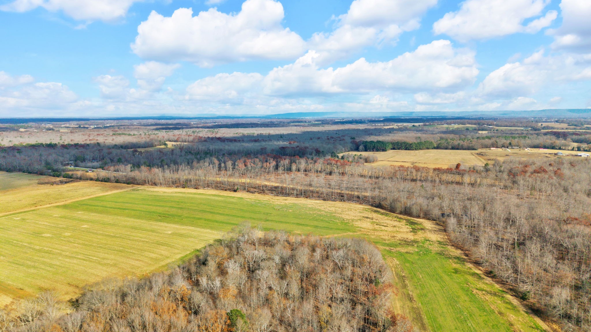0 Whitaker Lane Belvidere, TN 37306 - Photo 4 of 34 a view of an ocean from a beach