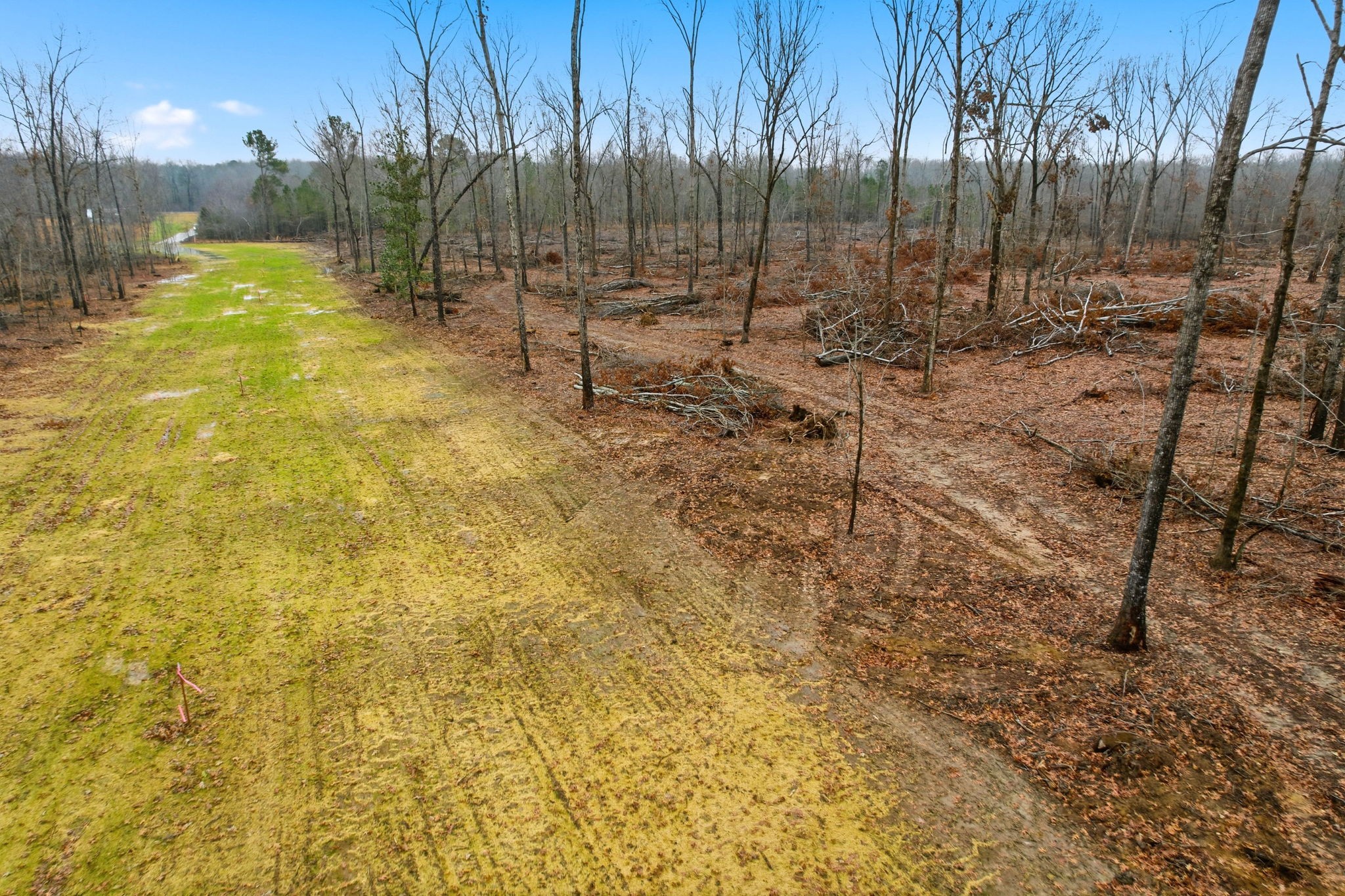 0 Whitaker Lane Belvidere, TN 37306 - Photo 10 of 34 a view of outdoor space with trees