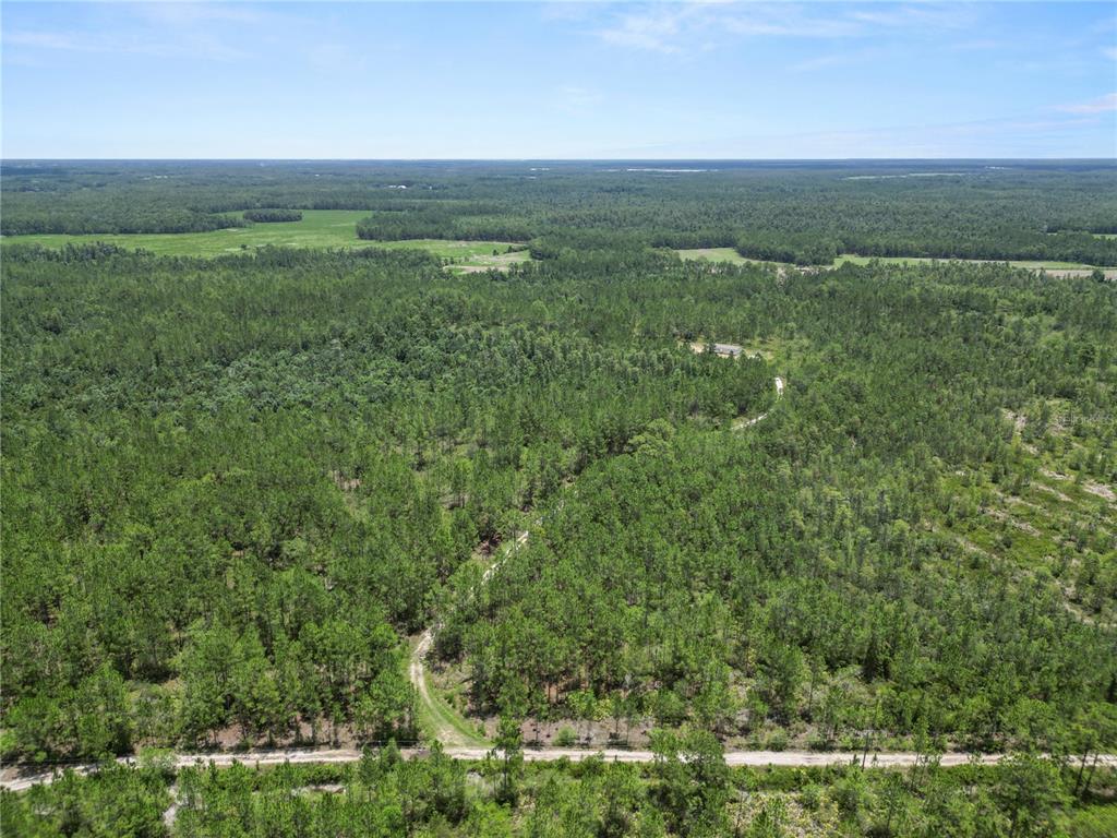 3450 Salyers Road Clermont, FL 34714 - Photo 38 of 50