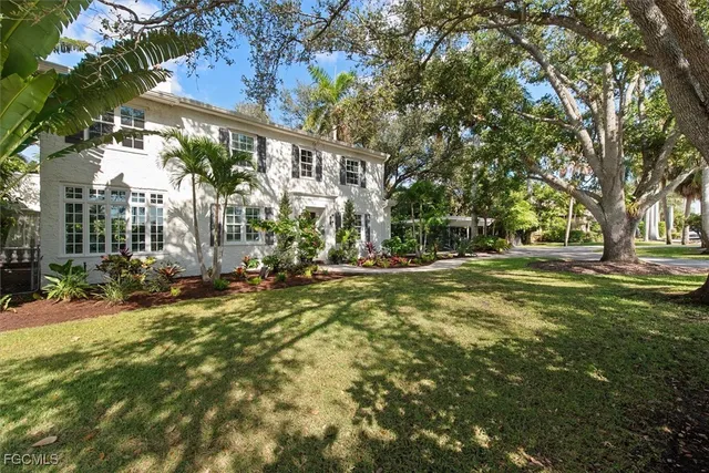 a view of road with large trees
