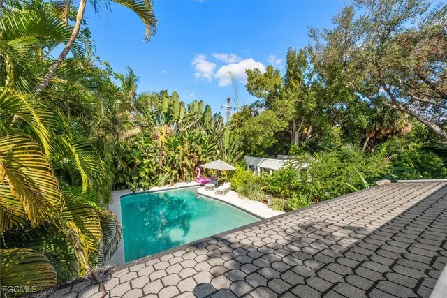 a view of a yard with plants and large trees