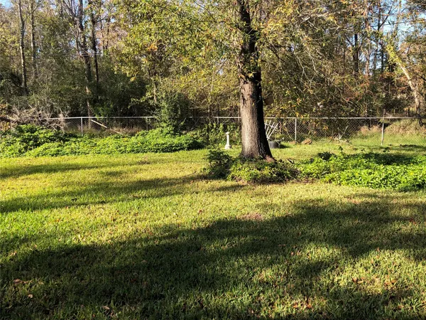 a view of a garden with a tree