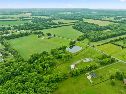 a view of a lush green forest