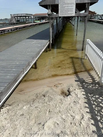 a view of a wooden floor with a lake