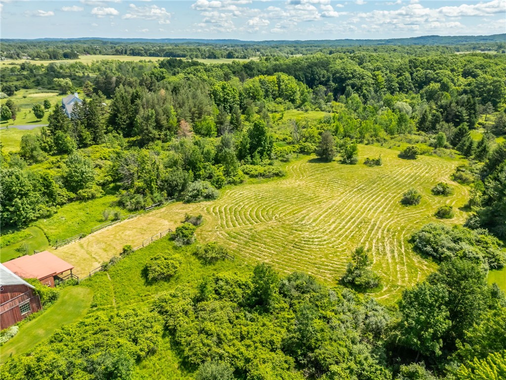 117 Amann Road Mendon, NY 14472 - Photo 41 of 43