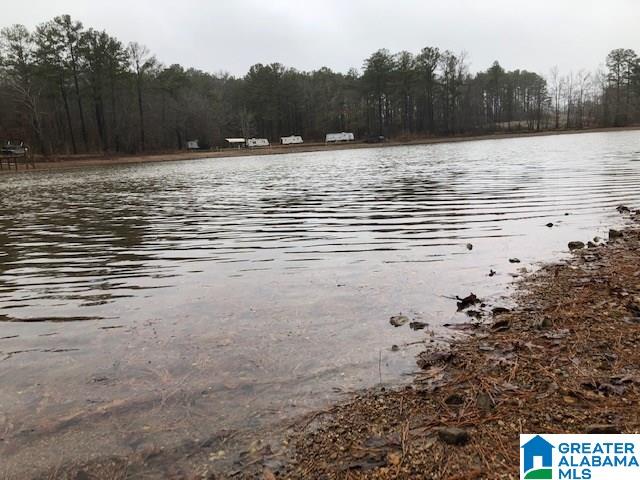 0 Lakeside Lane, Unit 31 Alpine, AL 35014 - Photo 31 of 42
