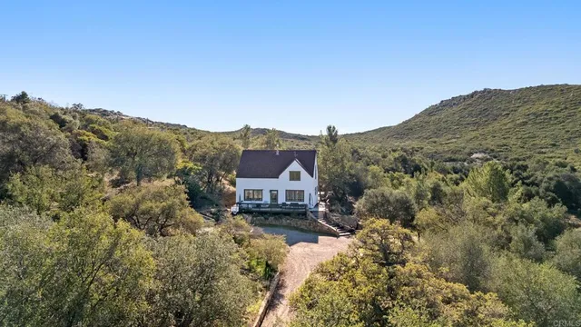 a view of road with large trees