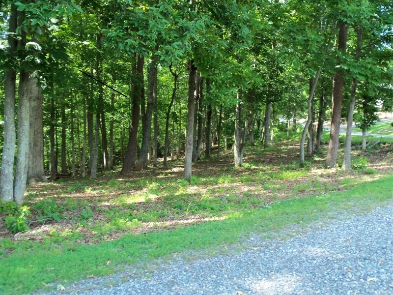 1219 Loggers Road Goodview, VA 24095 - Photo 21 of 21 a backyard of a house with lots of green space