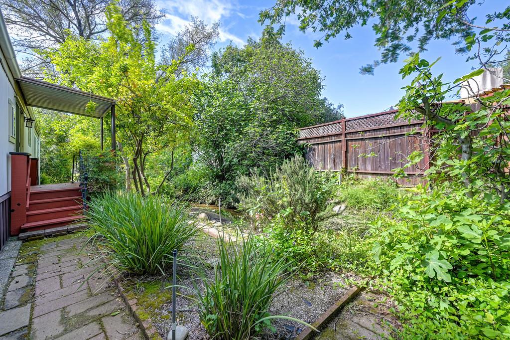 4800 Auburn Folsom Road, Unit 9 Loomis, CA 95650 - Photo 40 of 43 a view of a back yard with plants