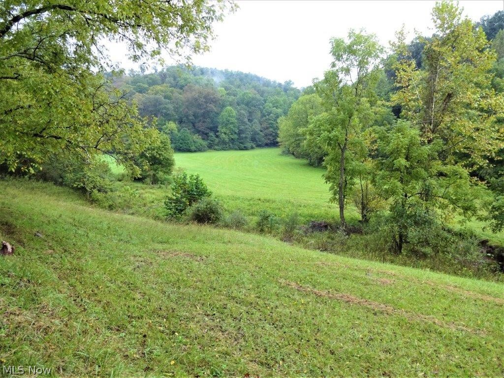 616 Langley Road Sandyville, WV 25275 - Photo 22 of 29 Gallery Image 22