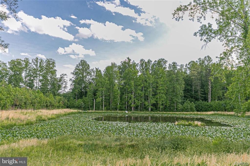 31050 Sparta Road Milford, VA 22514 - Photo 4 of 47 Gallery Image 4