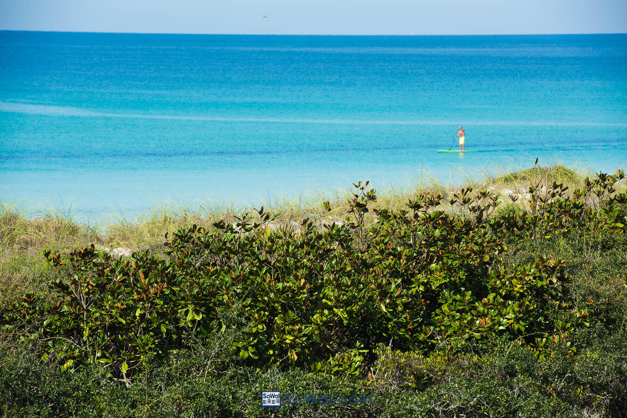 37 Red Cedar Way Santa Rosa Beach, FL 32459 - Photo 50 of 59 Gallery Image 50