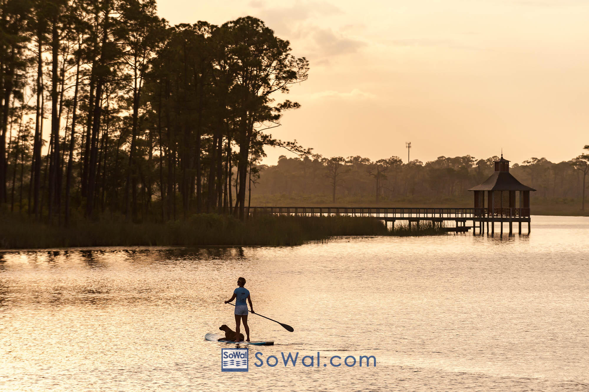 37 Red Cedar Way Santa Rosa Beach, FL 32459 - Photo 54 of 59 Gallery Image 54