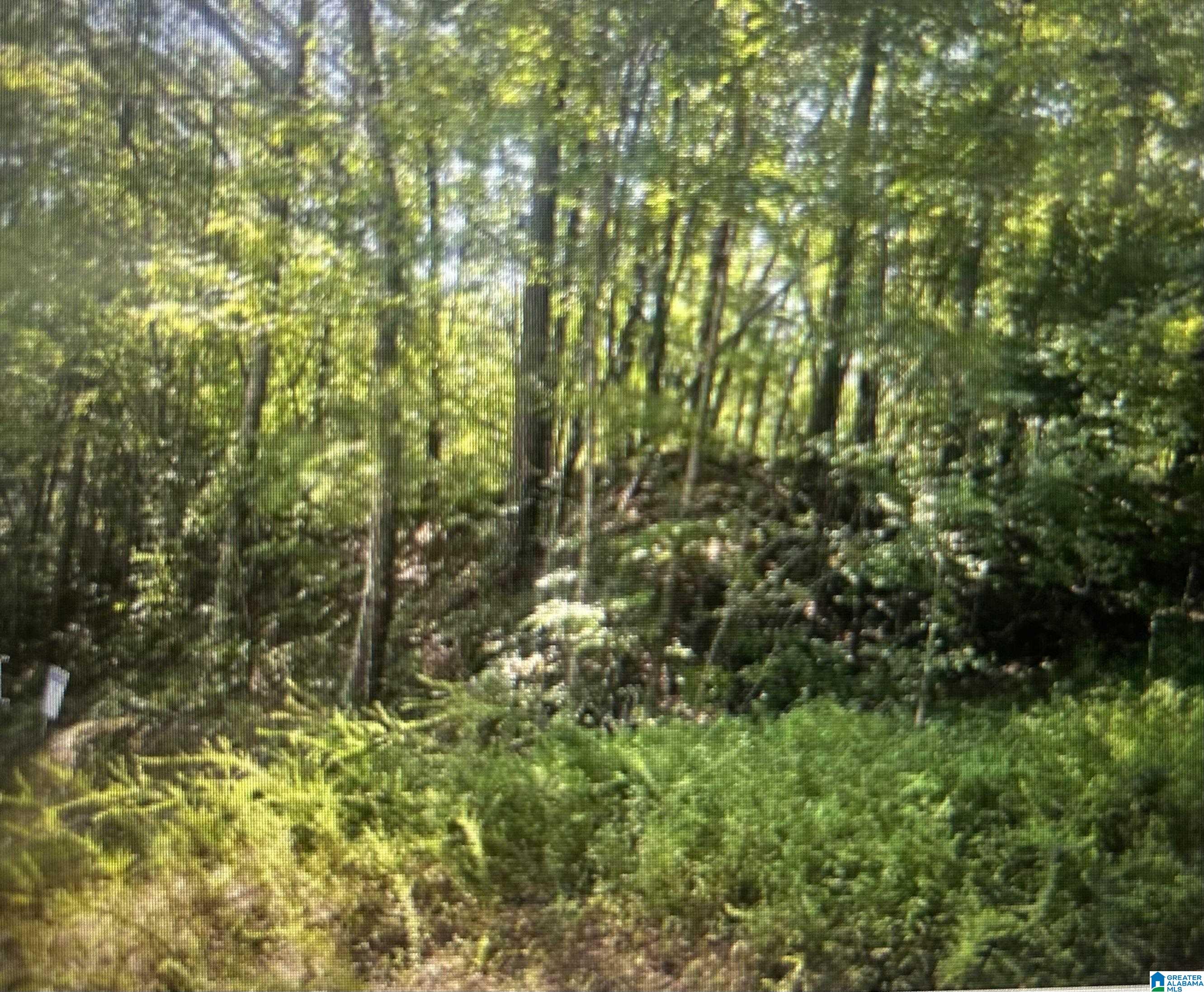 0 Gemini Circle, Unit LOT 53 Alpine, AL 35014 - Photo 2 of 4