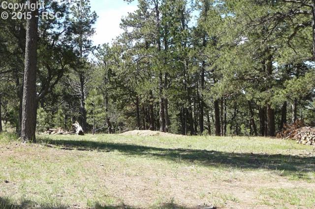 18145 Cumbres Road Peyton, CO 80831 - Photo 15 of 30 Gallery Image 15