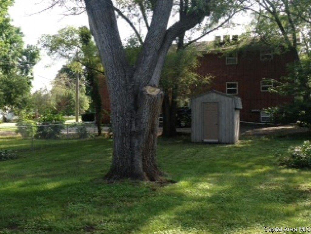 3204 South 5th Street Springfield, IL 62703 - Photo 3 of 14