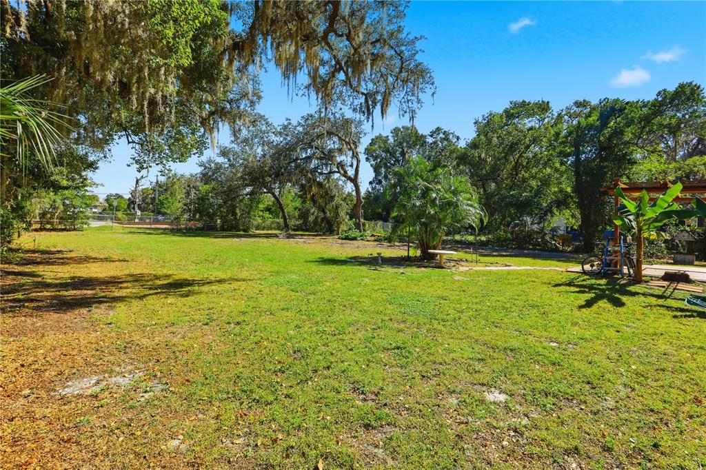 213 South 3rd Street Lake Mary, FL 32746 - Photo 21 of 30 a view of a swimming pool and trees in the background