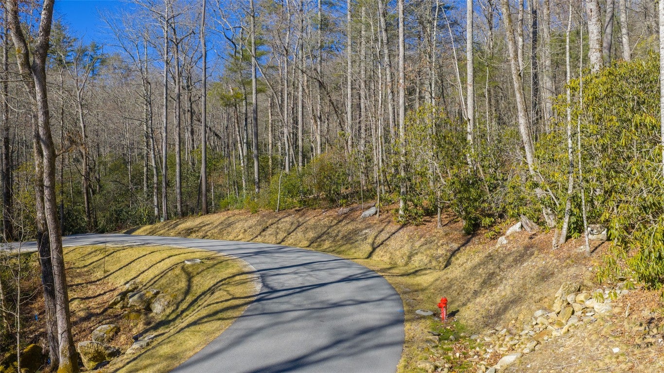 87 Flagstone Road Sapphire, NC 28774 - Photo 2 of 14 Gallery Image 2