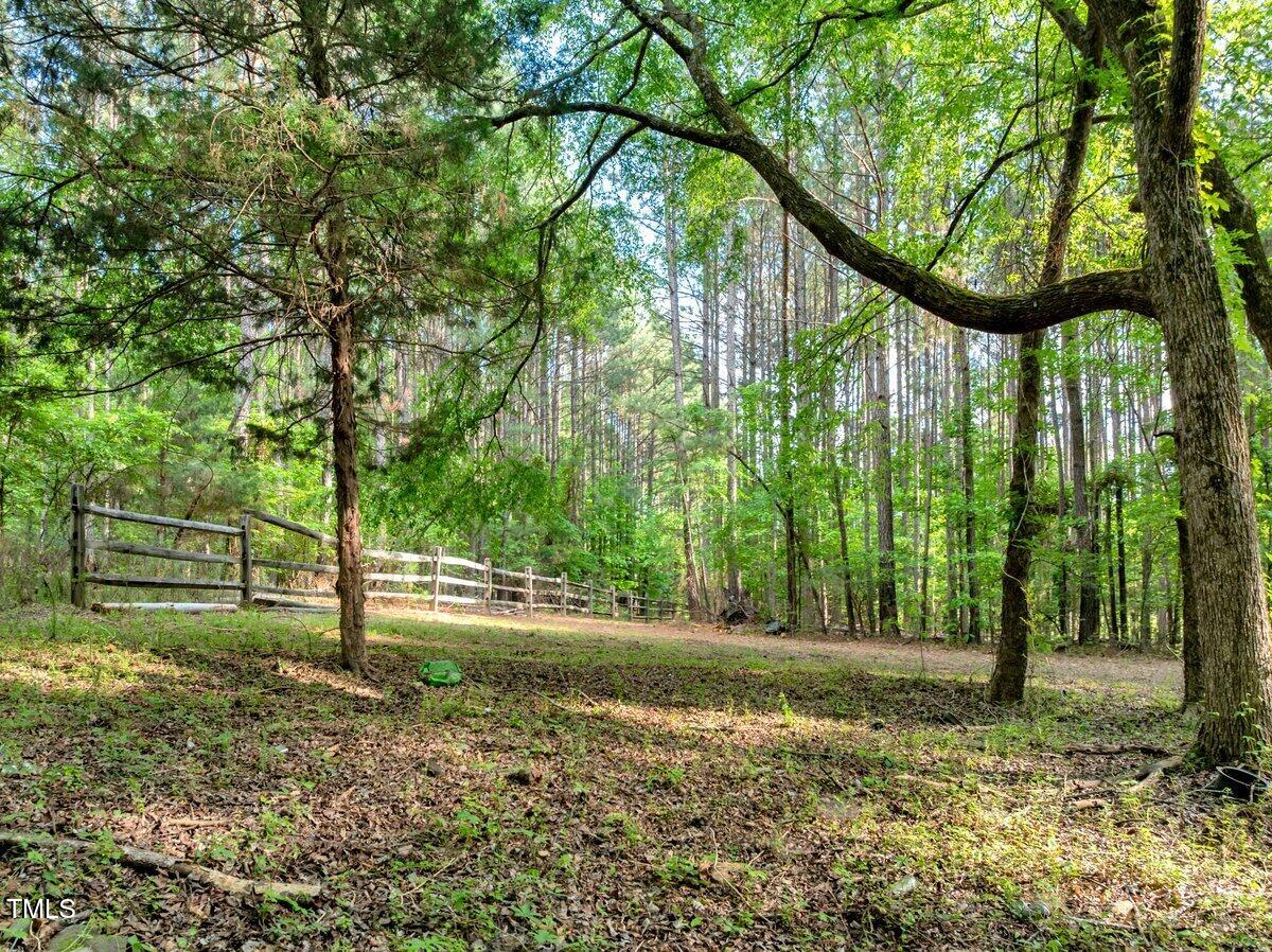 1.95-acres Buchanan Road Manson, NC 27553 - Photo 10 of 15 Buchanan Fence in Woods