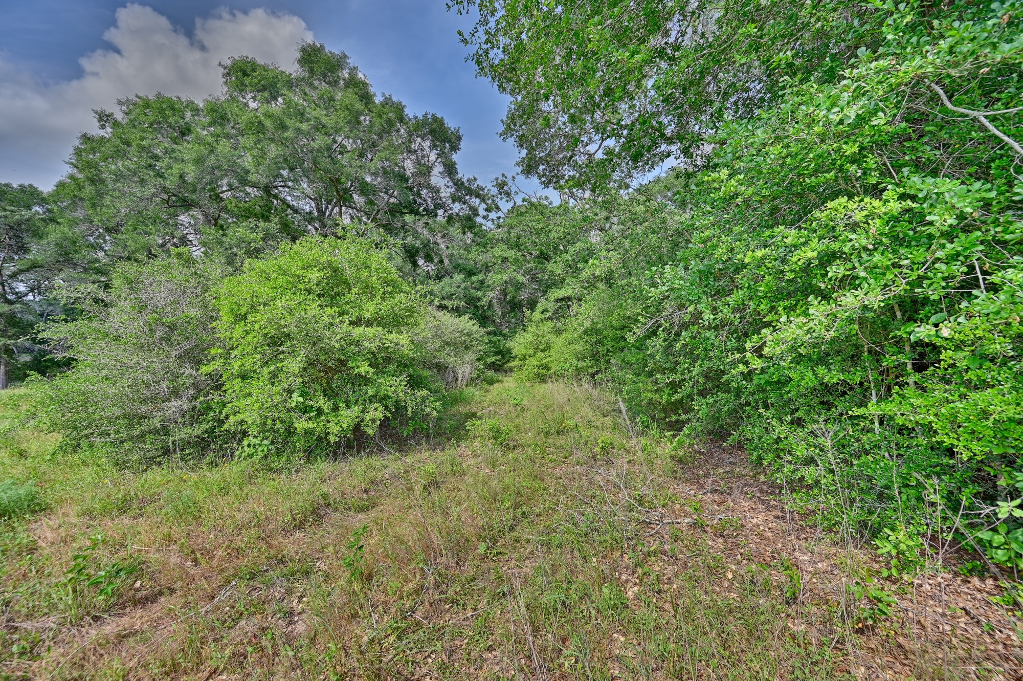17718 Tranquil Lane Cat Spring, TX 78933 - Photo 9 of 13