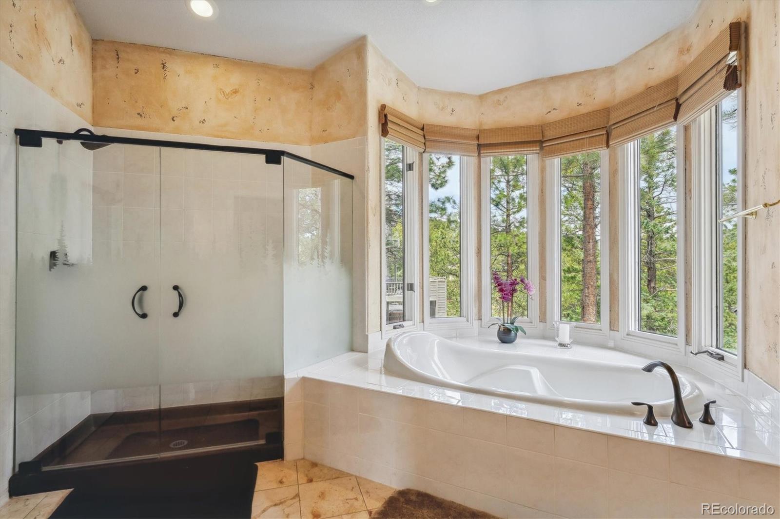 1784 Prima Lane Evergreen, CO 80439 - Photo 23 of 37 a bathroom with a tub and a sink