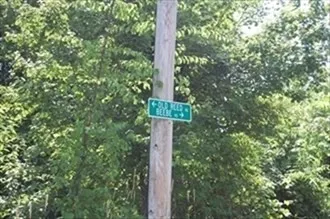 a street sign that is sitting in a forest