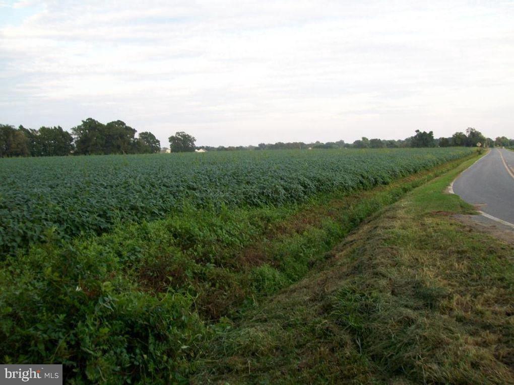 0 Evans Road Berlin, MD 21811 - Photo 1 of 2 a view of a city with lush green forest
