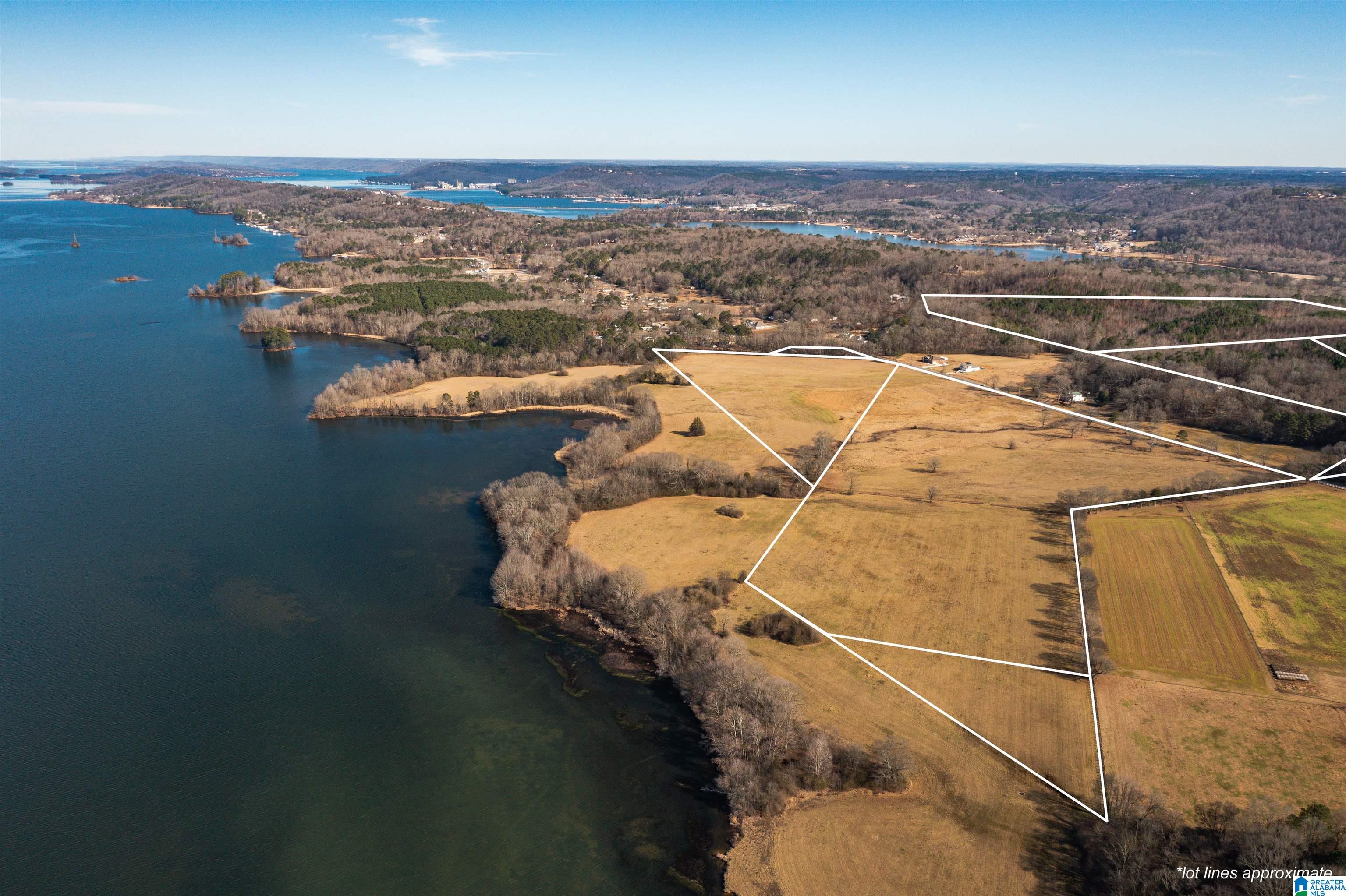 0 Browns Valley Road Guntersville, AL 35976 - Photo 15 of 39