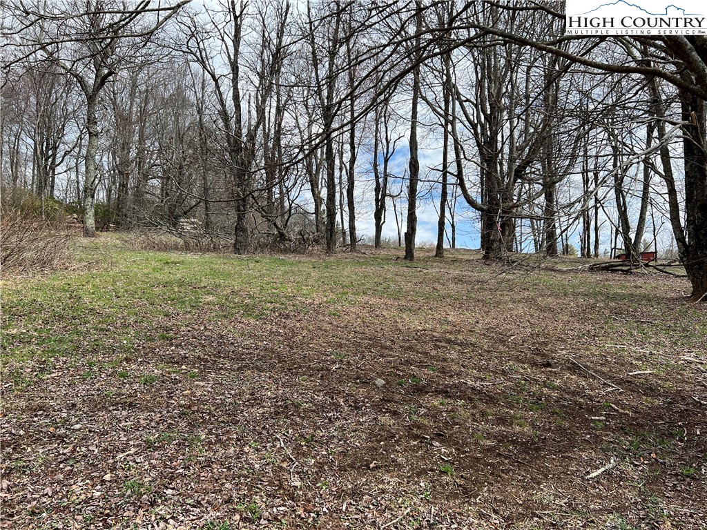 Lot 2 Cora's Path Blowing Rock, NC 28605 - Photo 2 of 4 a view of a yard with trees