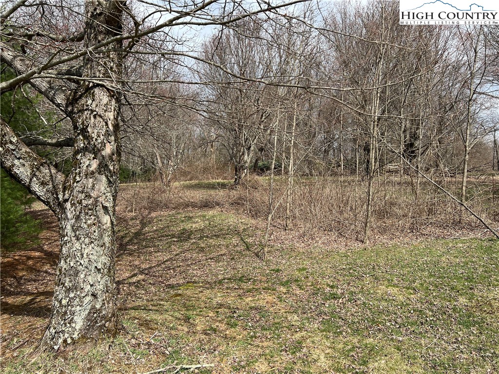Lot 2 Cora's Path Blowing Rock, NC 28605 - Photo 3 of 4 a view of a yard with trees