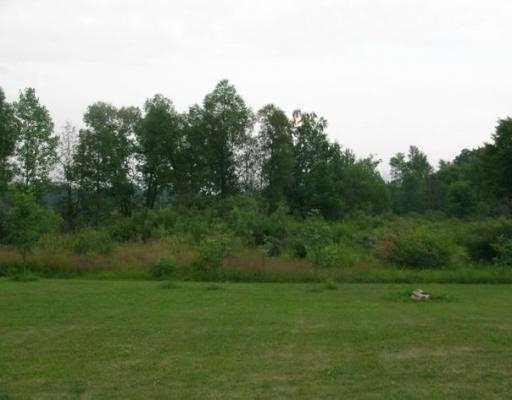 11955 Dewey Road Munith, MI 49259 - Photo 3 of 10 Photo 3