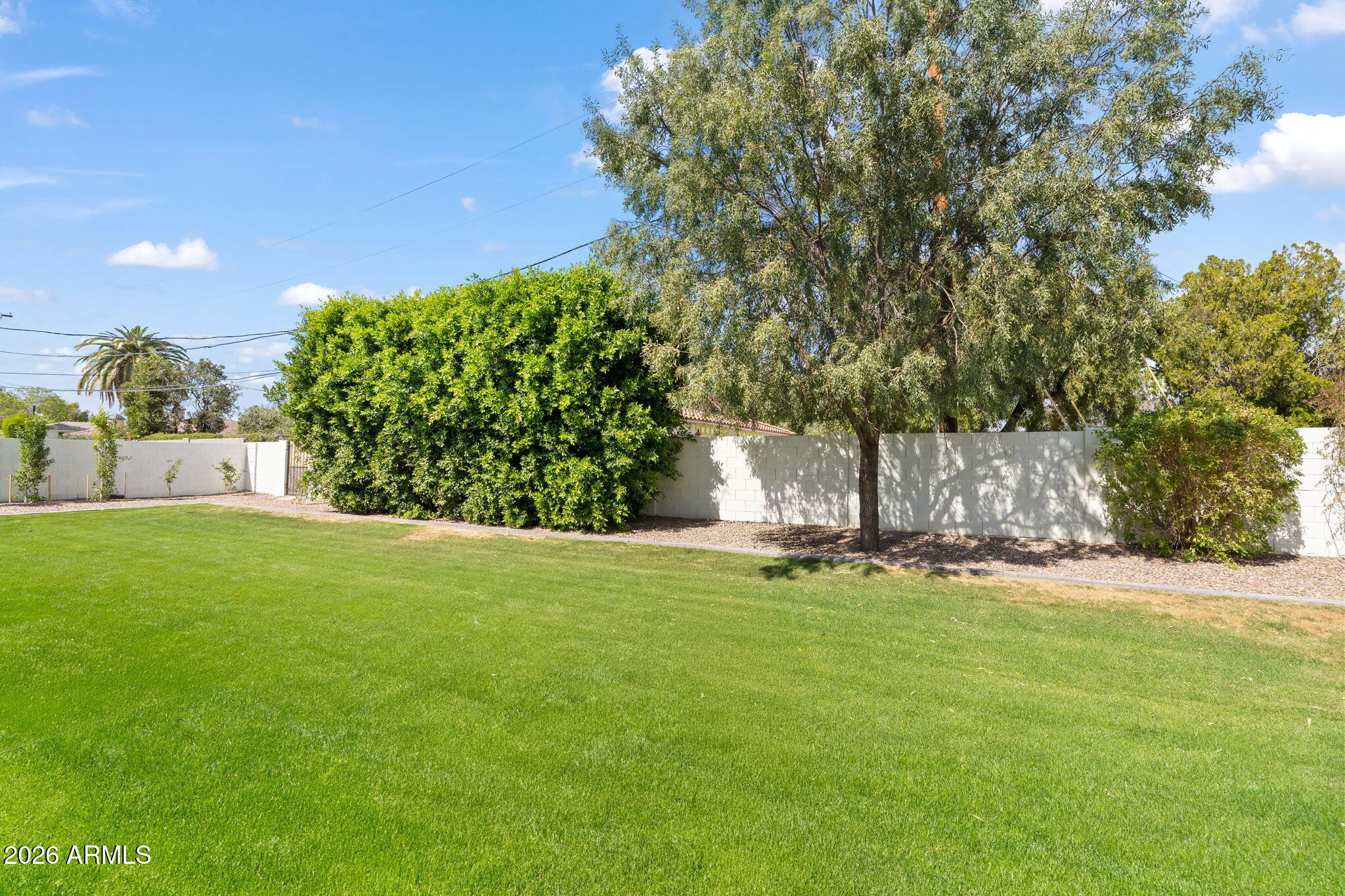 4164 East Camelback Road Phoenix, AZ 85018 - Photo 52 of 60 Backyard