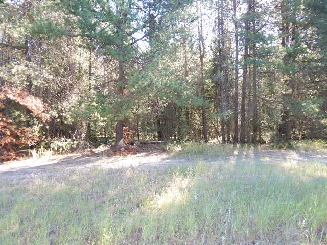 Tbd North Spotted Road Deer Park, WA 99006 - Photo 8 of 10
